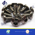 Antitheft Screw Thief Proof Screw